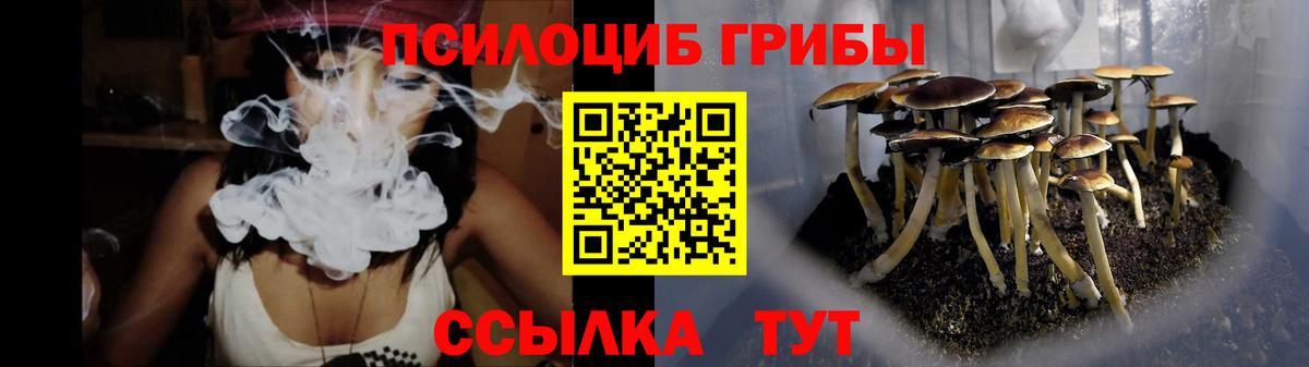 Псилоцибиновые грибы Magic Shrooms  Вход с VPN  купить   Новоалтайск 